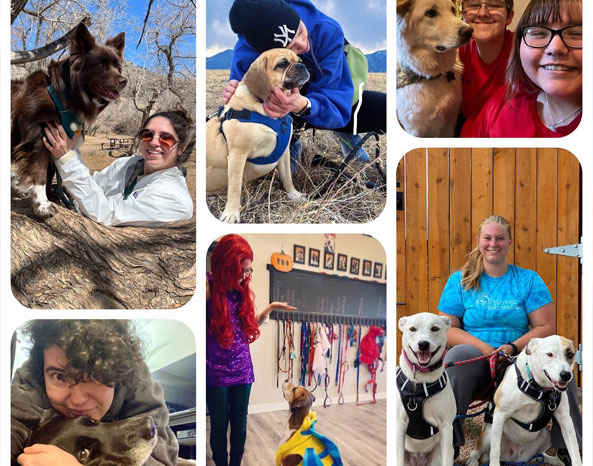 happy dogs with happy owners
